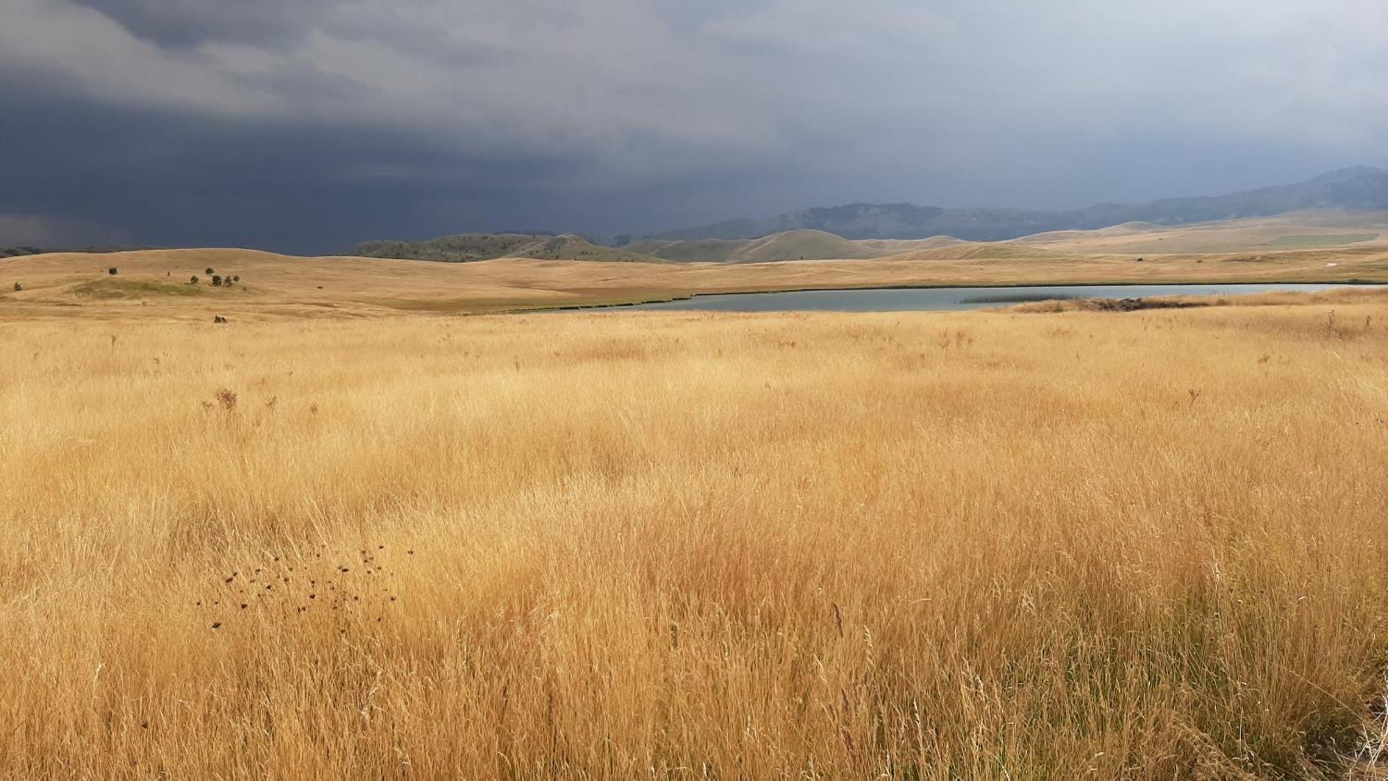 Apartments Durmitor Žabljak Εξωτερικό φωτογραφία