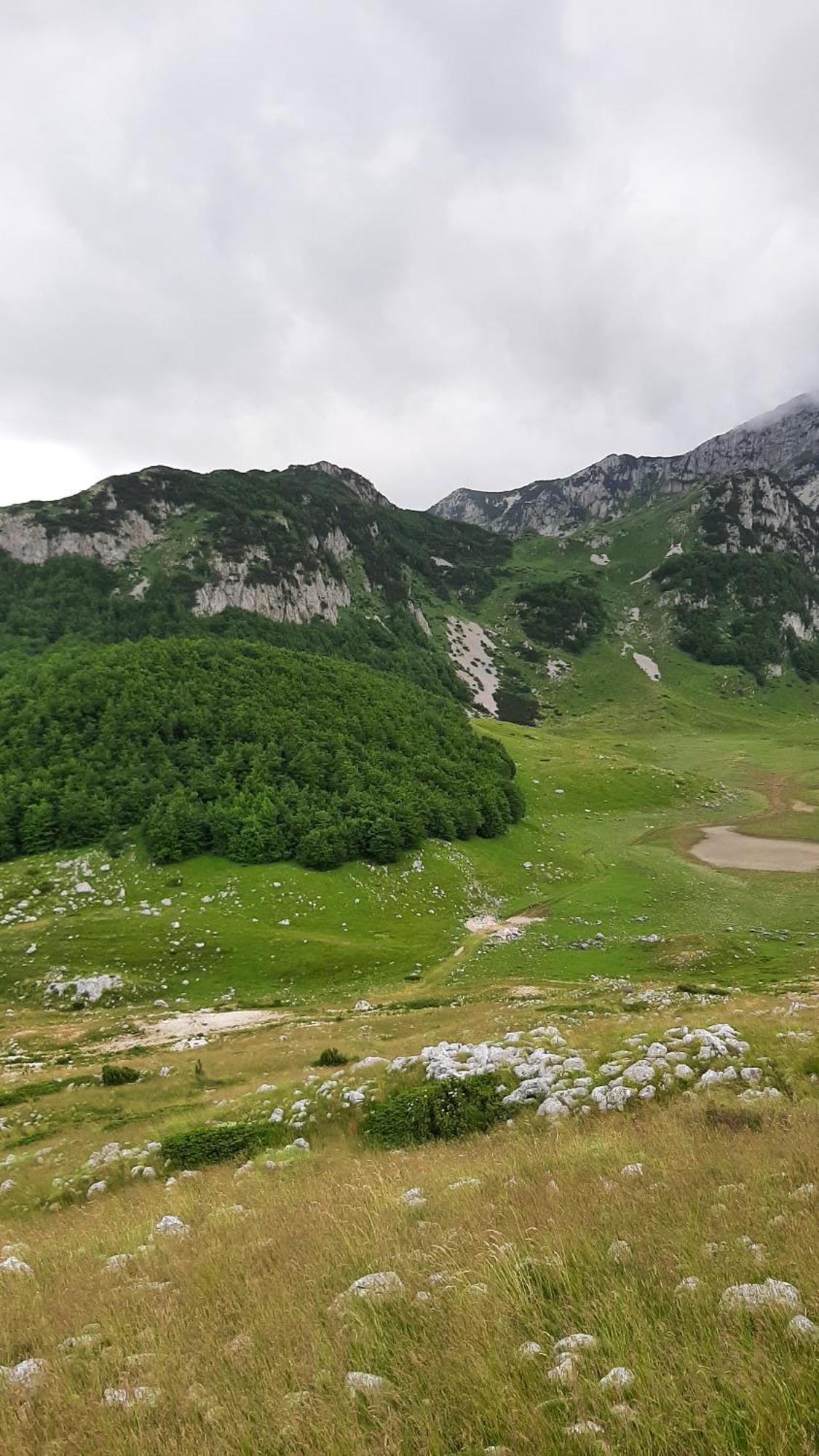 Apartments Durmitor Žabljak Εξωτερικό φωτογραφία