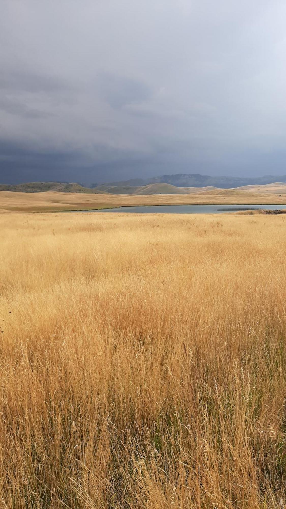 Apartments Durmitor Žabljak Εξωτερικό φωτογραφία
