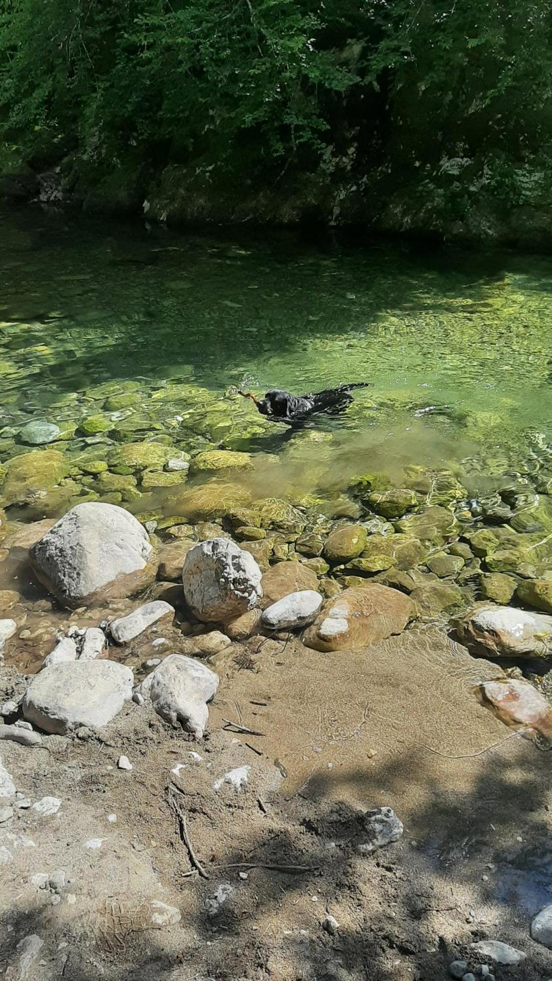 Apartments Durmitor Žabljak Εξωτερικό φωτογραφία