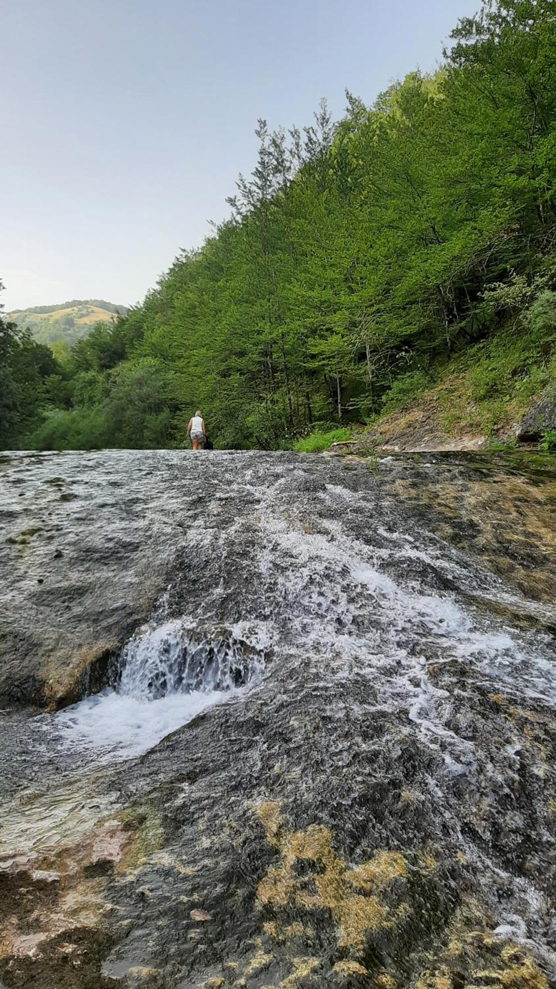 Apartments Durmitor Žabljak Εξωτερικό φωτογραφία