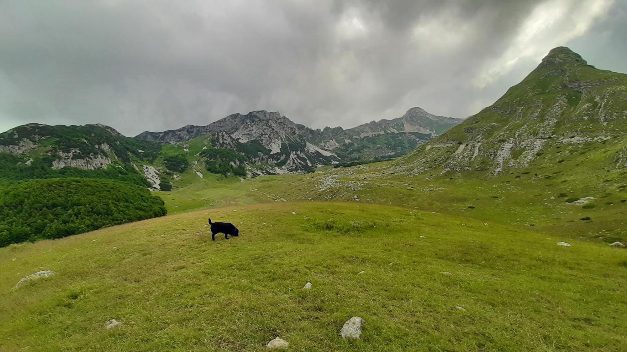 Apartments Durmitor Žabljak Εξωτερικό φωτογραφία