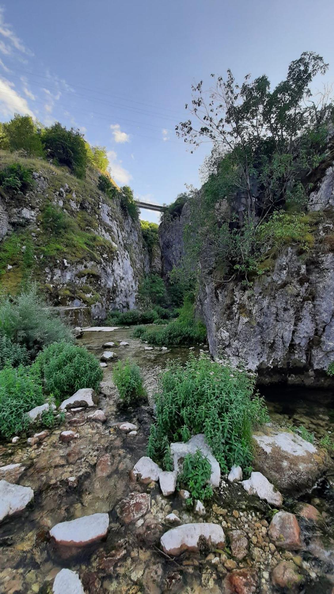 Apartments Durmitor Žabljak Εξωτερικό φωτογραφία