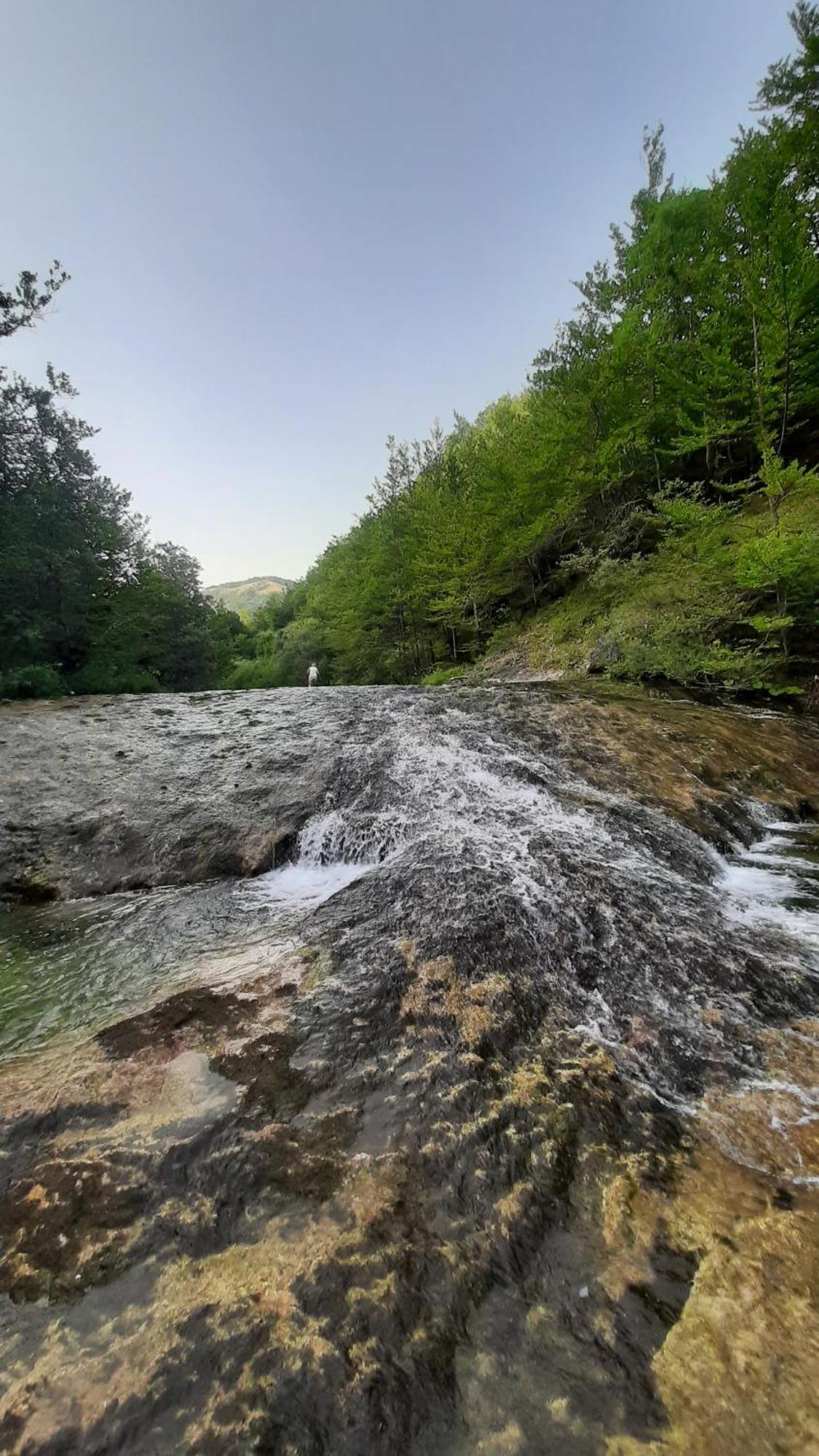 Apartments Durmitor Žabljak Εξωτερικό φωτογραφία
