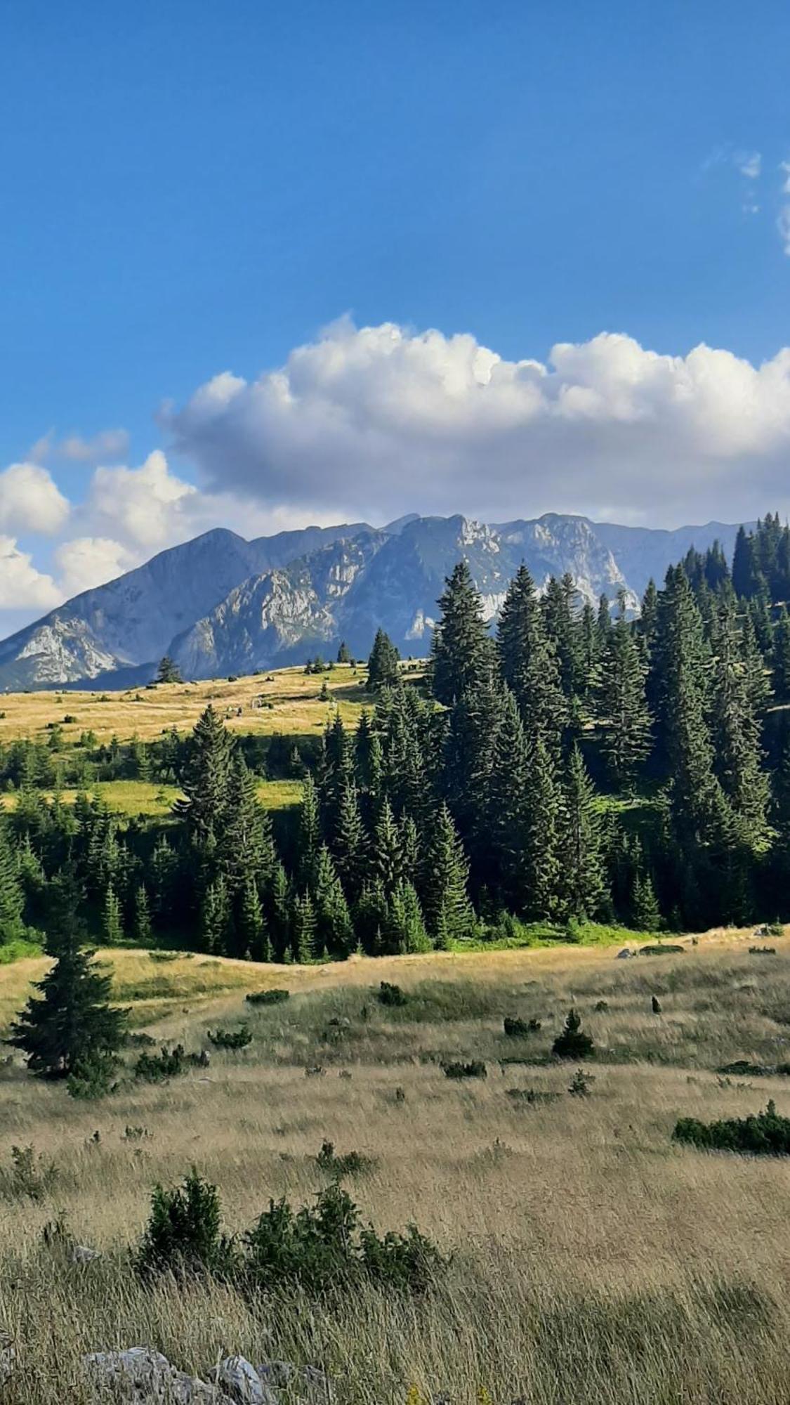 Apartments Durmitor Žabljak Εξωτερικό φωτογραφία