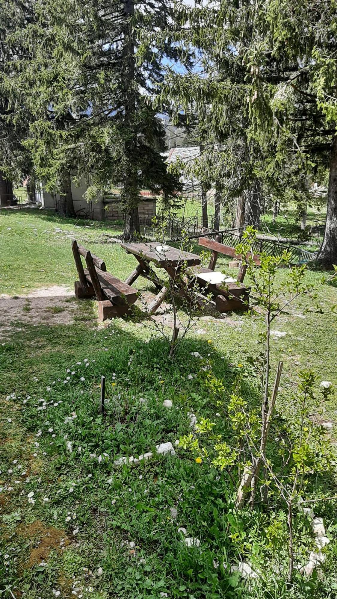 Apartments Durmitor Žabljak Εξωτερικό φωτογραφία